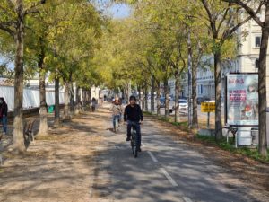 Cyclistes sur les quais du Rhône - Crédits : La Ville à Vélo