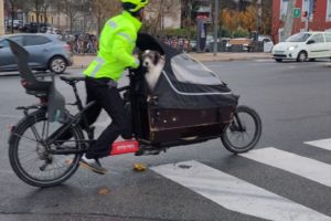 Comptage hiver 2024, encore une forte croissance du nombre de cyclistes sur le Plateau Nord ! 